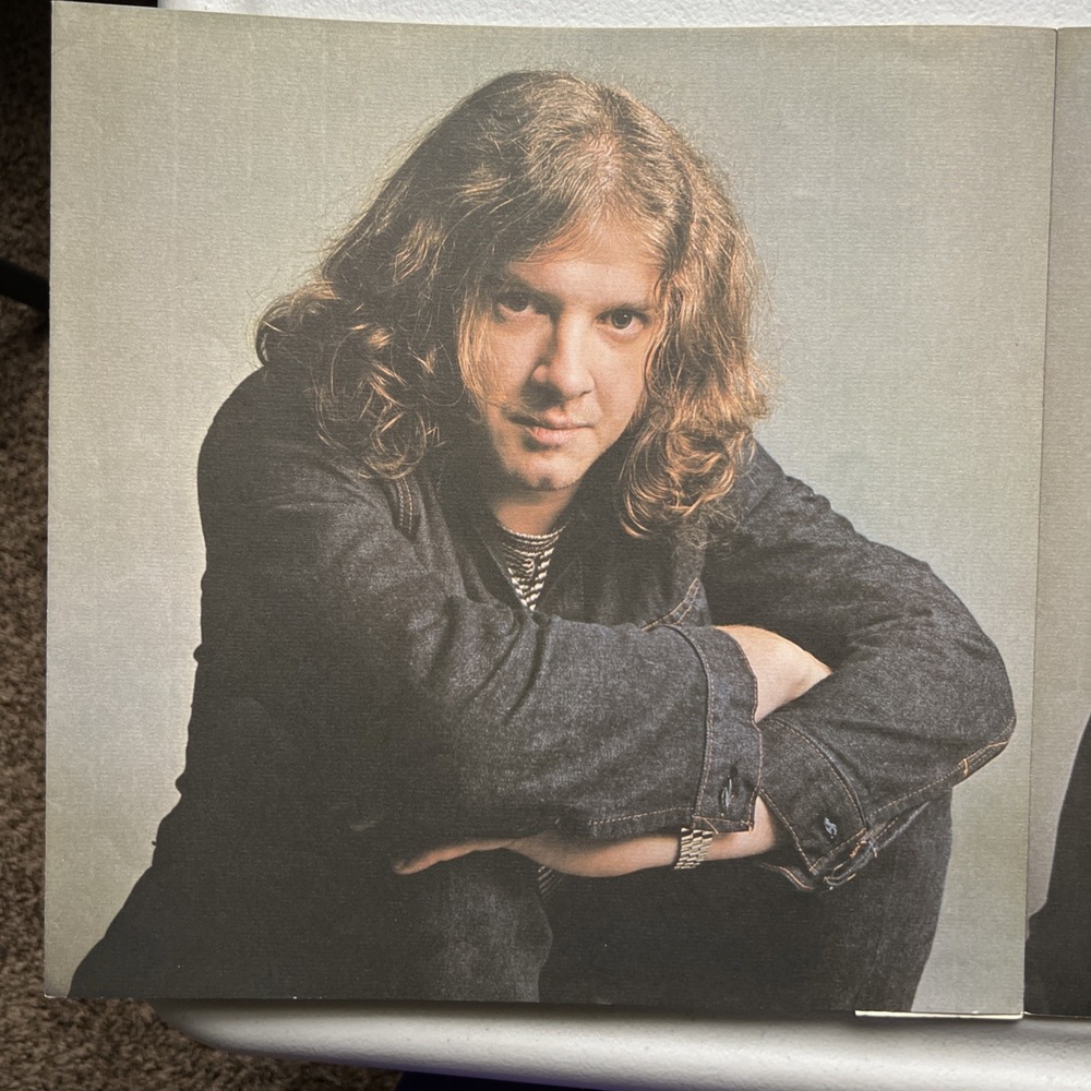 Chicago - Chicago Vinyl CARDBOARD SLEEVE ONLY POSTER NO VINYL Columbia KC 31102 - Picture 13 of 15